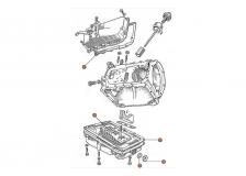 Gaskets & Oil Seals