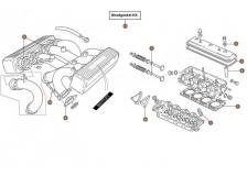 Gasket & Seals