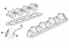 Spark Plugs, Leads & Coils