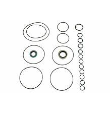 Seal kit steering box